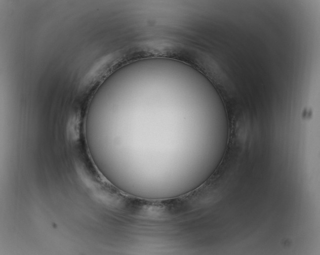 X0000111650694200907171546