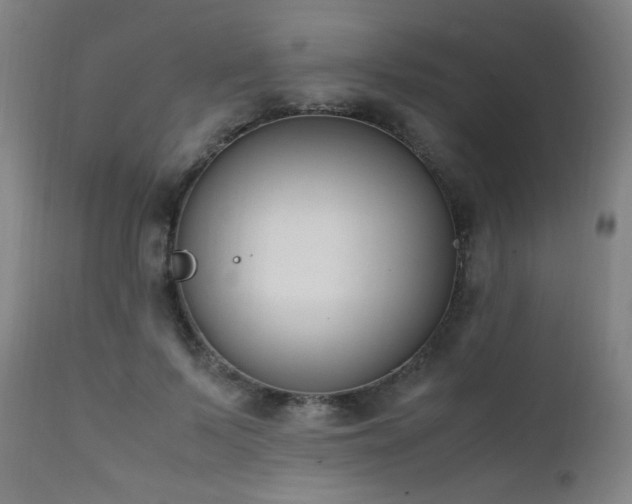 X0000111650695200907171546