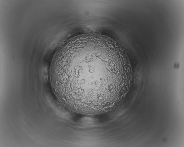 X0000111650699200907171546