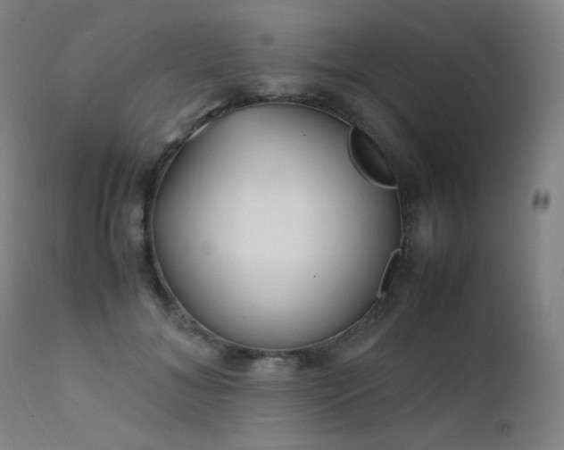 X0000111650700200907171546