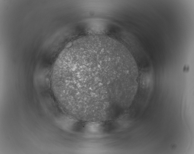 X0000111650701200907171546