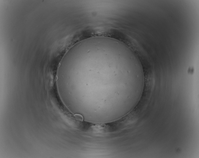X0000111650703200907171545
