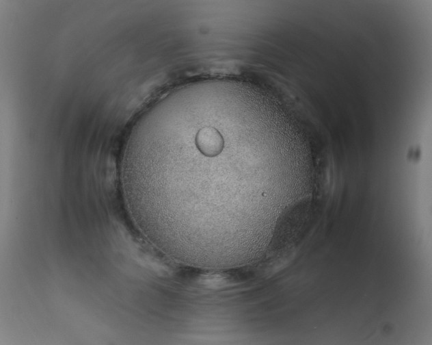 X0000111650704200907171545