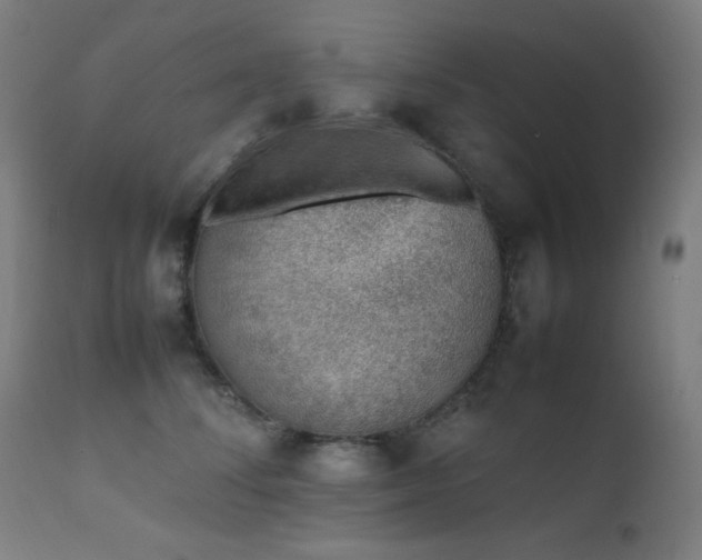 X0000111650708200907171545