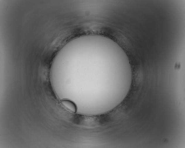 X0000111650709200907171545
