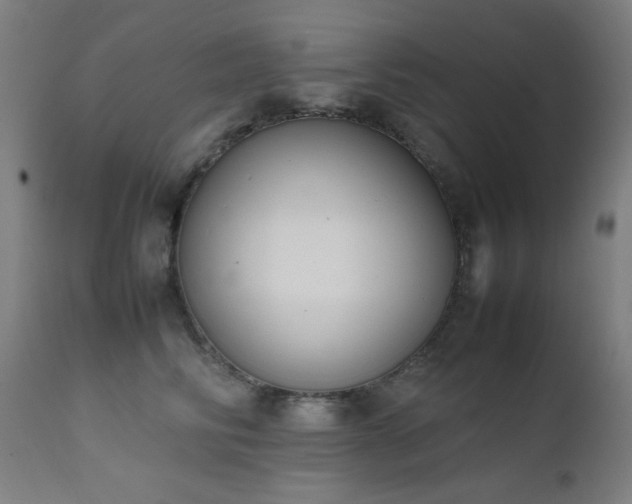 X0000111650710200907171545