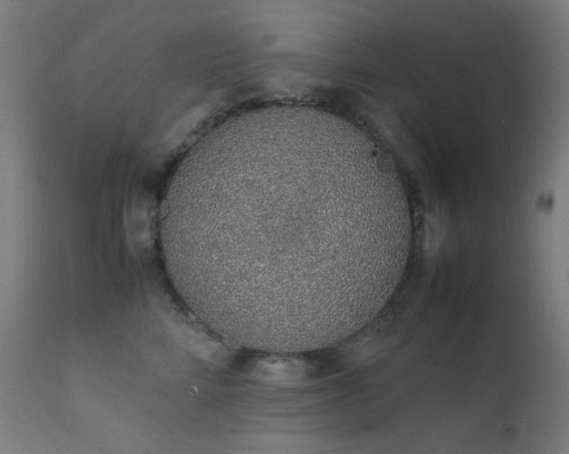 X0000111650712200907171545