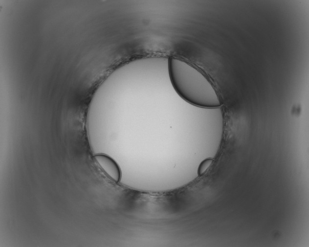 X0000111650713200907171545