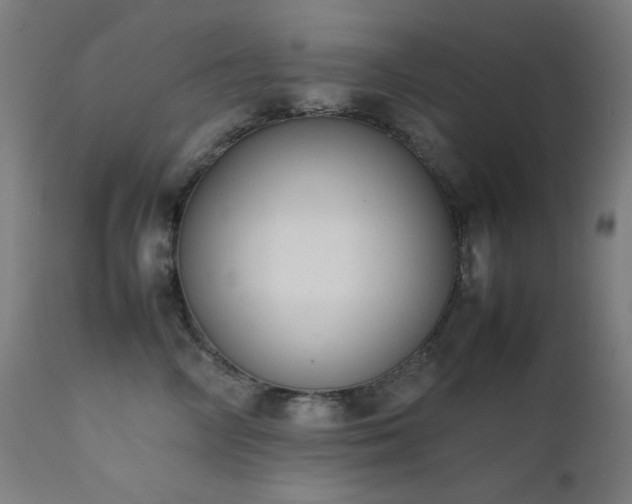 X0000111650714200907171545