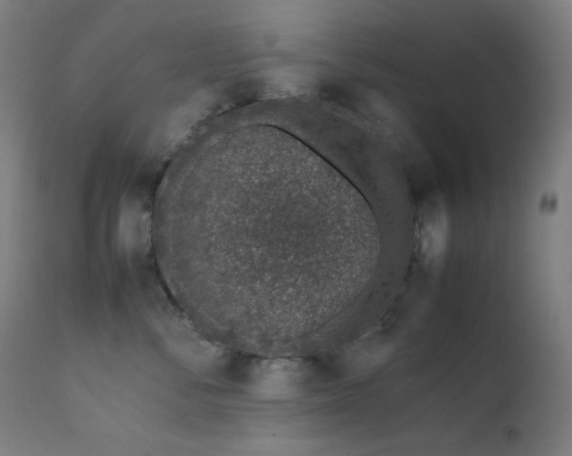 X0000111650716200907171545