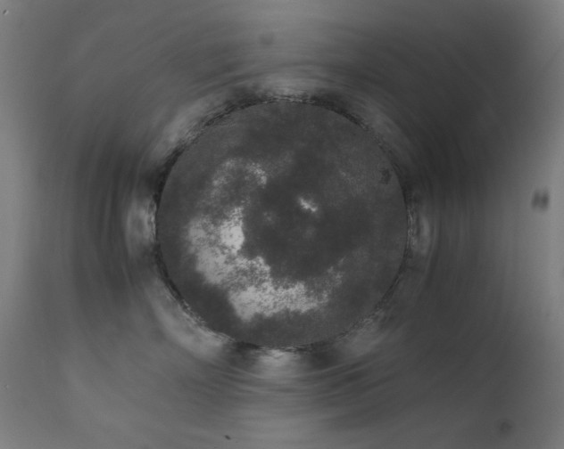 X0000111650718200907171545