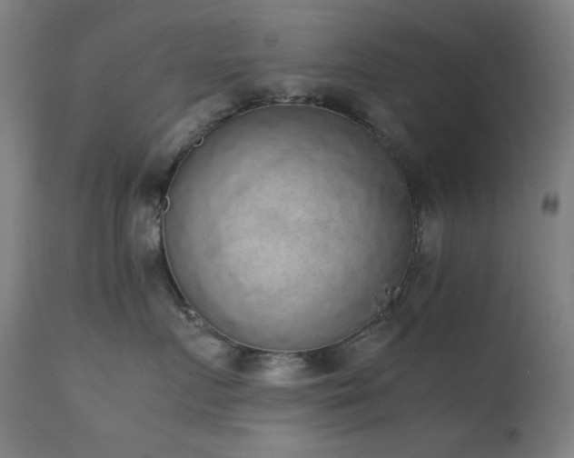 X0000111650719200907171545