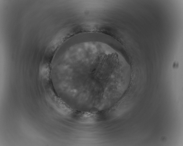 X0000111650720200907171545