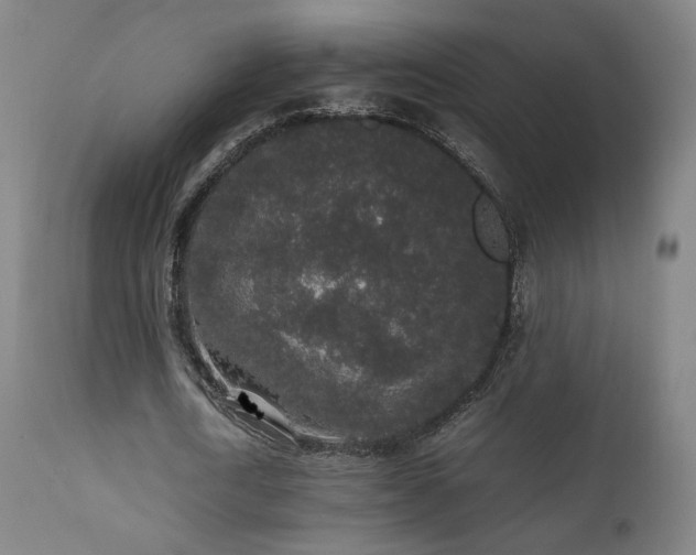 X0000111650722200907171544