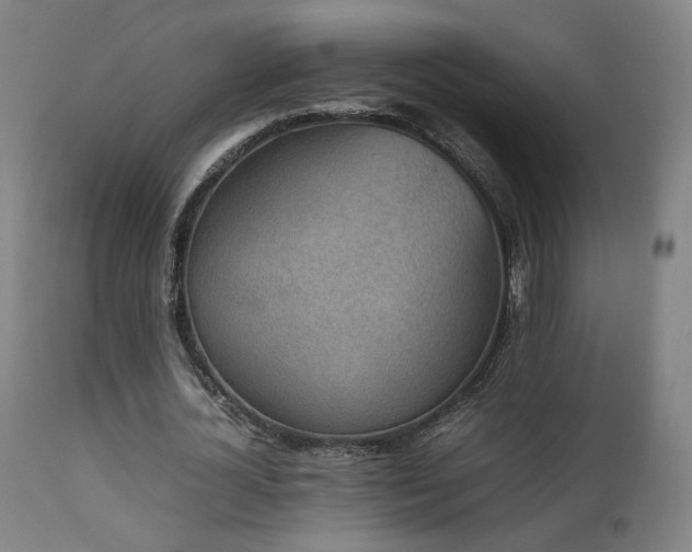 X0000111650724200907171544