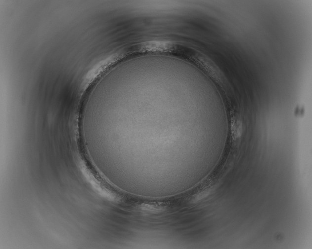 X0000111650725200907171544