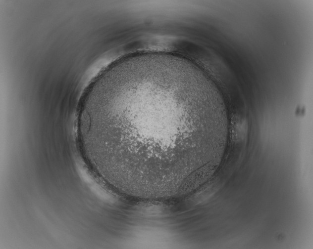 X0000111650726200907171544