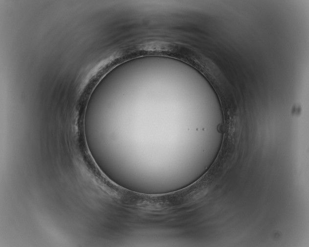 X0000111650727200907171544