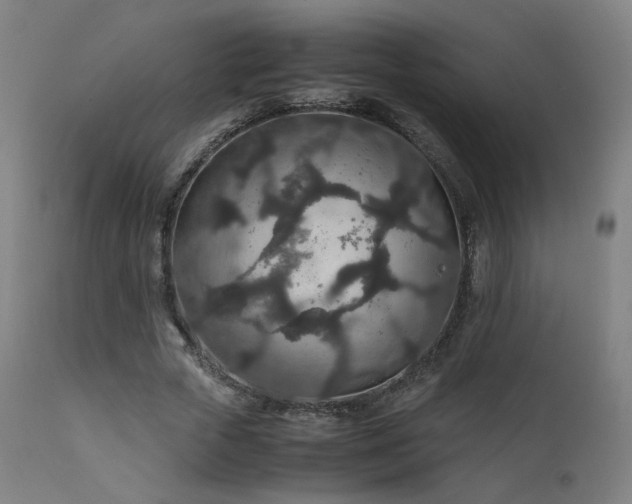 X0000111650729200907171544