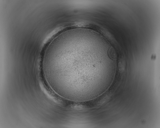 X0000111650730200907171544