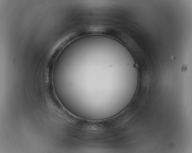 X0000111650731200907171544