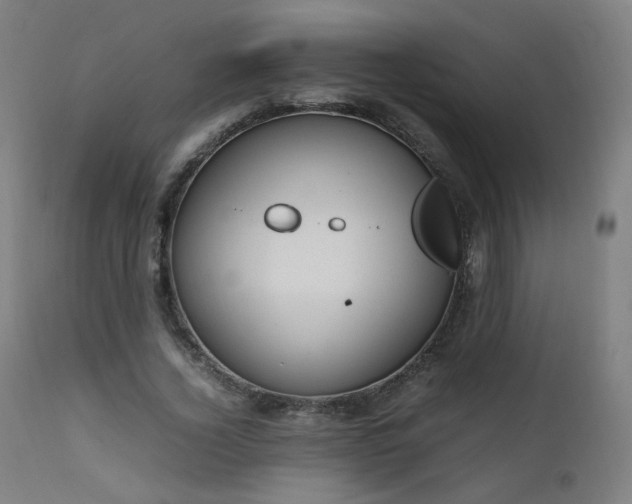 X0000111650732200907171544