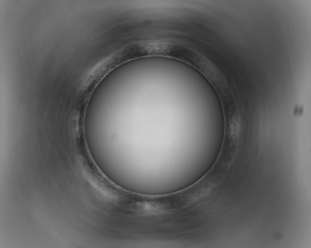X0000111650733200907171544