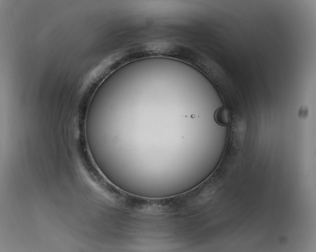 X0000111650734200907171544