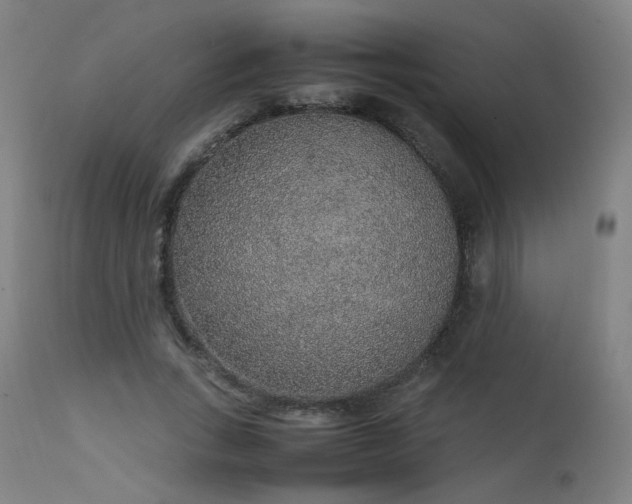 X0000111650735200907171544