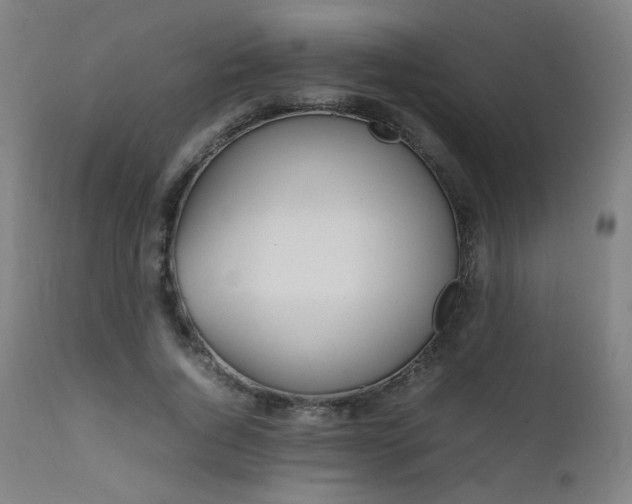 X0000111650736200907171544