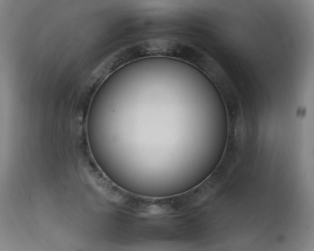 X0000111650737200907171544