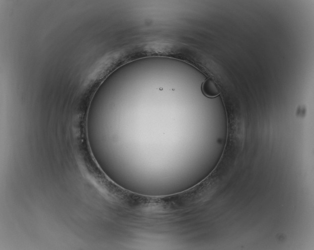X0000111650738200907171544