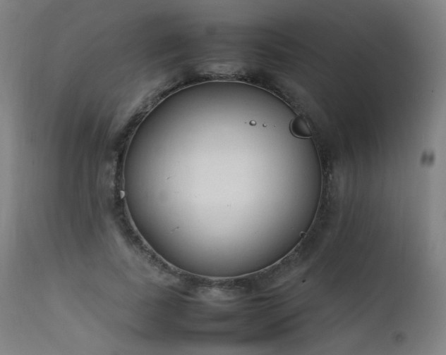 X0000111650739200907171545
