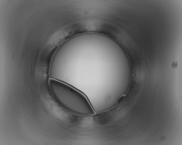 X0000111650740200907171545
