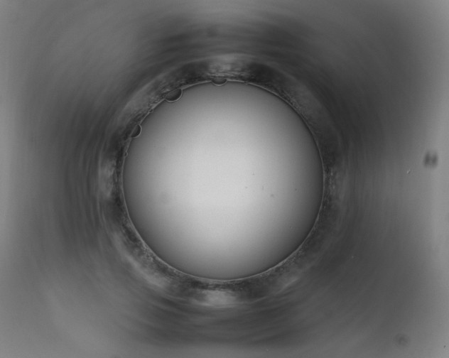X0000111650741200907171545