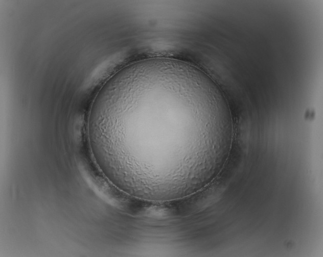 X0000111650742200907171545