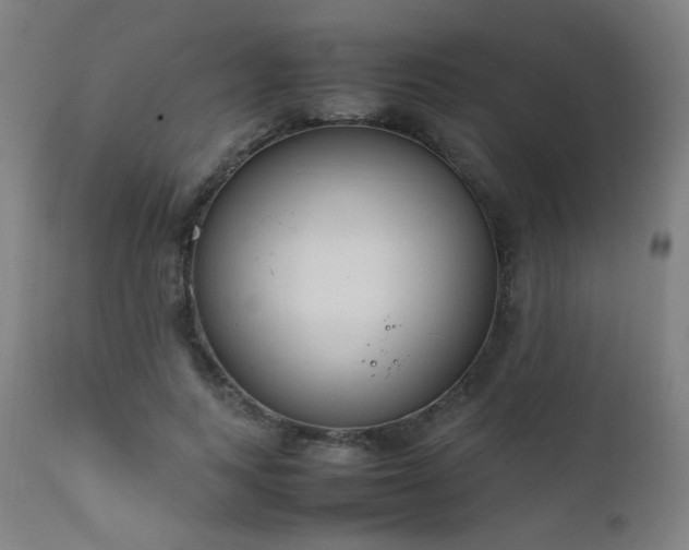 X0000111650743200907171545