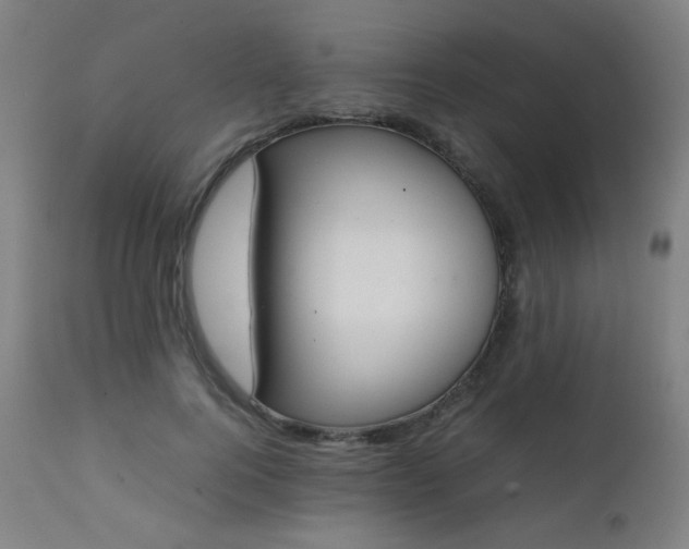 X0000111650744200907171545