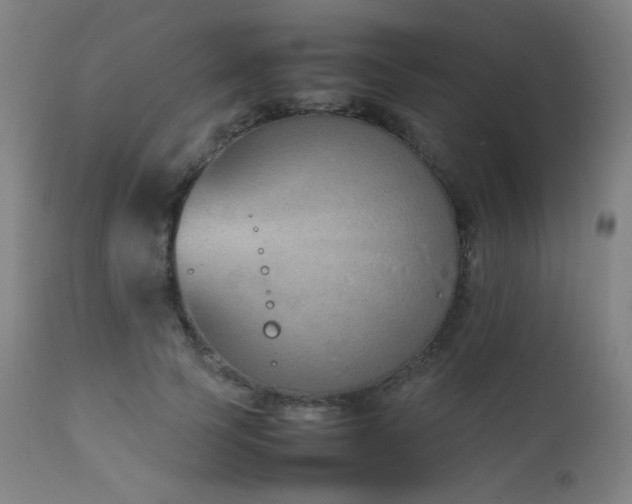 X0000111650745200907171545