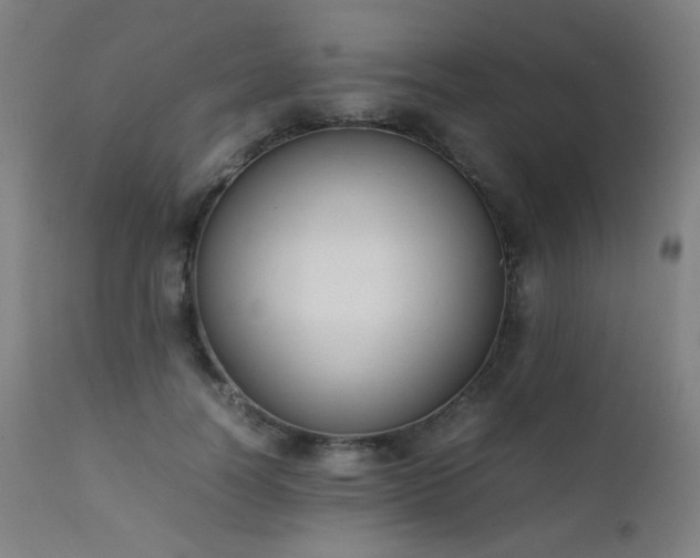 X0000111650746200907171545