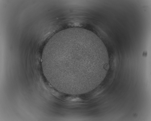 X0000111650747200907171545