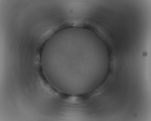 X0000111650748200907171545