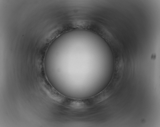 X0000111650749200907171545