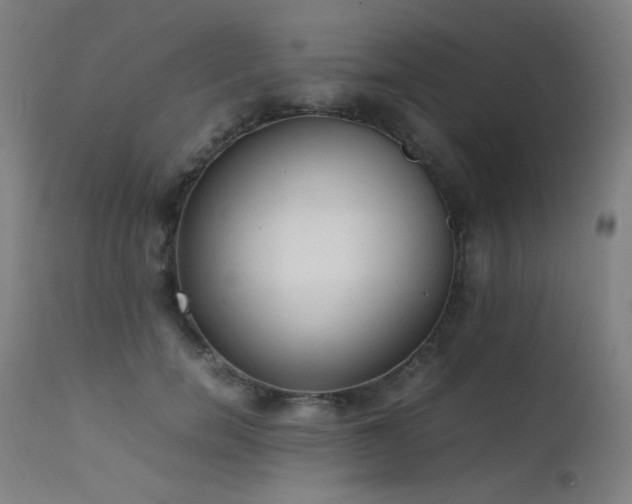 X0000111650750200907171545