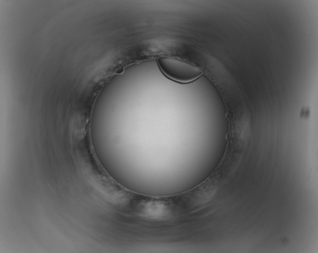 X0000111650751200907171545