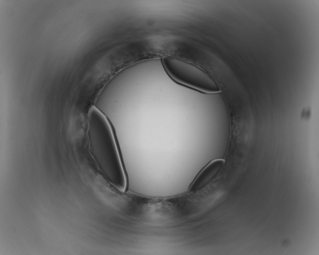 X0000111650752200907171545