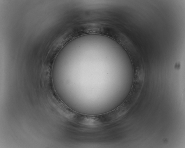 X0000111650753200907171545