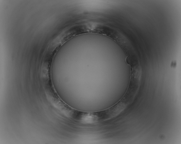 X0000111650754200907171545