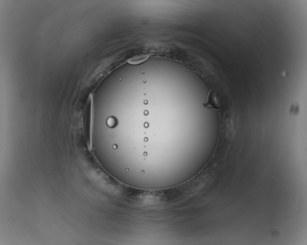 X0000111650756200907171545