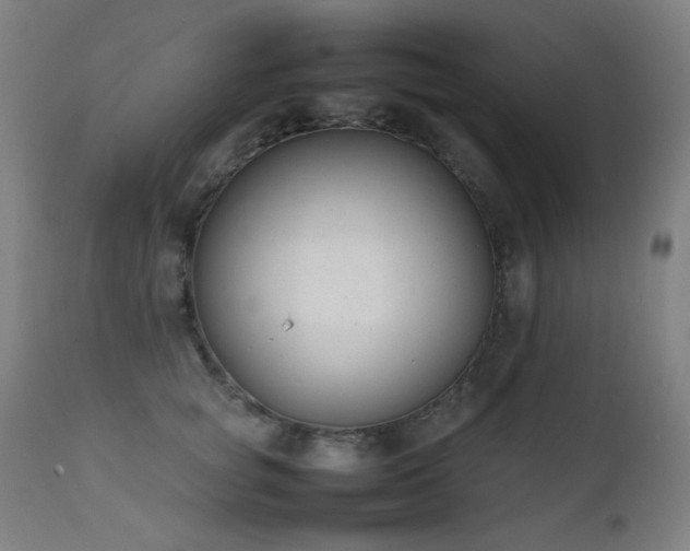 X0000111650757200907171545